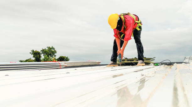 Best Solar Panel Roofing Installation  in Quanah, TX
